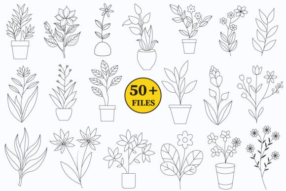 Flower and House Plants Lineart Graphic Review