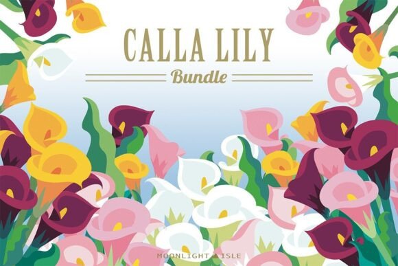 Funky Floral Modern Calla Lily Bundle Review